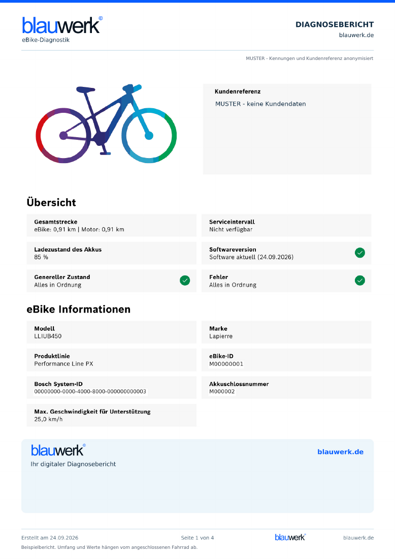 Erste Seite des BlauWerk-Musterberichts mit Systemübersicht und anonymisierten Fahrradkennungen
